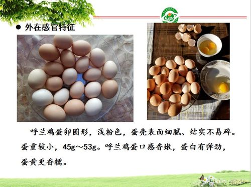 好消息 黑龙江有望新增14个农产品地理标志凤凰网黑龙江 凤凰网